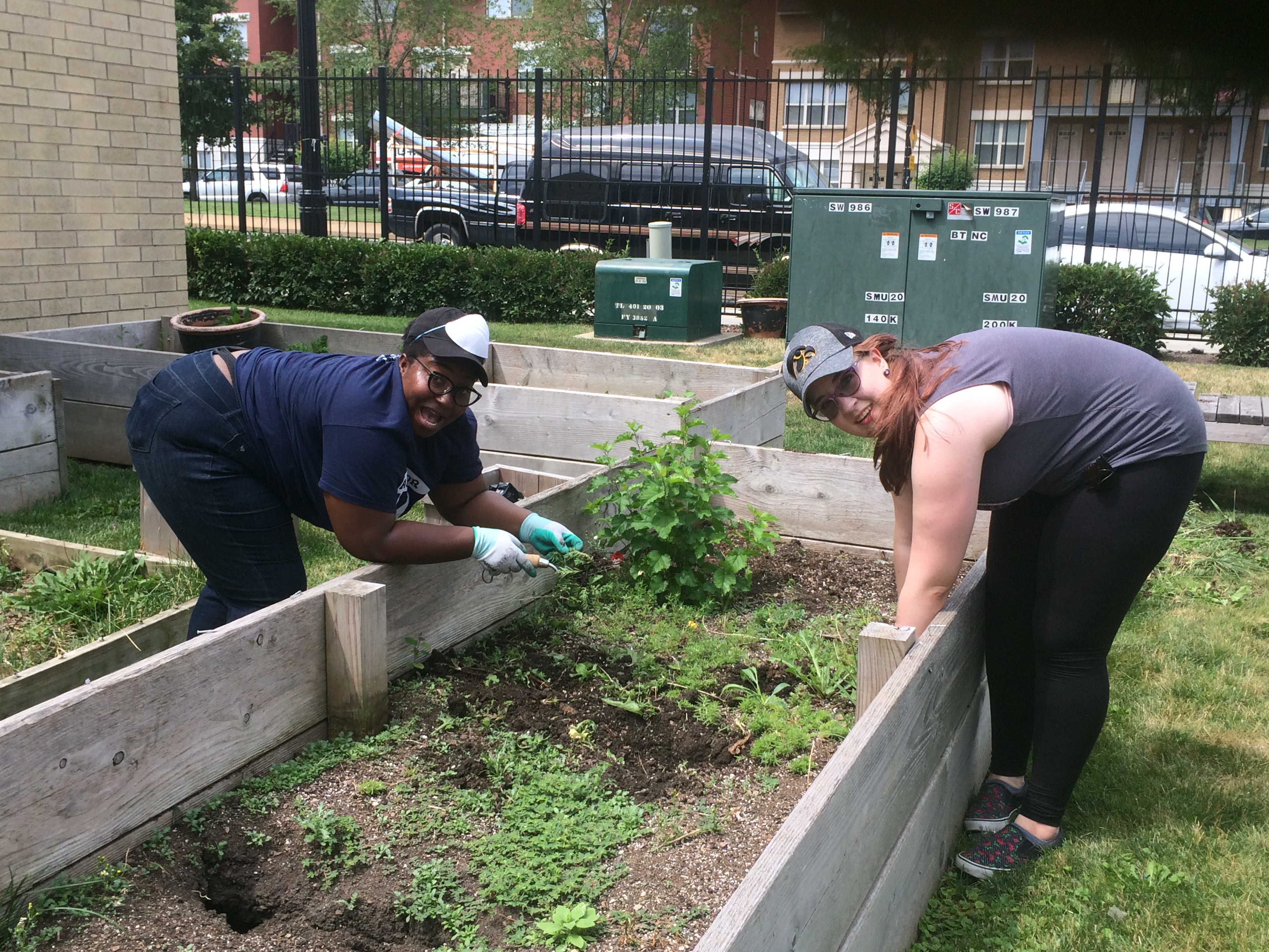  - Our 2016 &amp; 2017 AmeriCorps VISTAs helping with gardening at our partner site, Community Builders - Oakley Square Apartments in July 2017.
